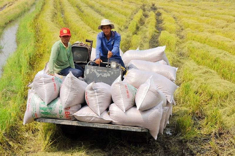 Xuất khẩu nông sản Việt Nam giữ vững đà tăng trưởng